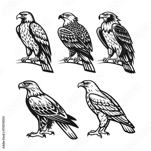 Art & IllustrationBird Silhouette Collection and Design a black-and-white tattoo-style illustration set featuring owls, hawks, falcons, and an eagle.
