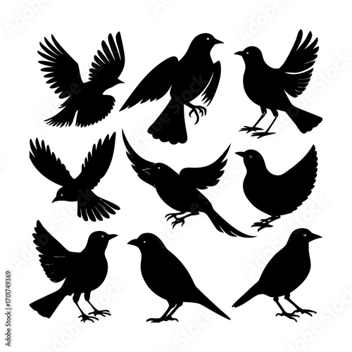Art & IllustrationBird Silhouette Collection and Design a black-and-white tattoo-style illustration set featuring owls, hawks, falcons, and an eagle.
