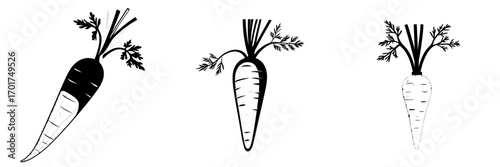 The Carrot Icon is a simple and bold black silhouette of a carrot, ideal for representing healthy eating, farm-fresh produce, or any project requiring a clean and effective vegetable icon