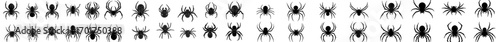 Modern spider silhouettes including tarantula and widow spiders are featured in this Halloween icon design template illustration