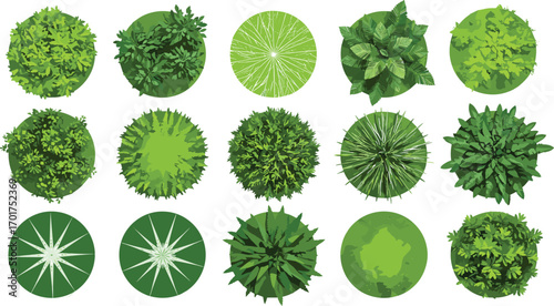 Top view plants, aerial tree icons, landscape design foliage set, garden and park vegetation symbols, flat design, CAD drawing flat vector illustration