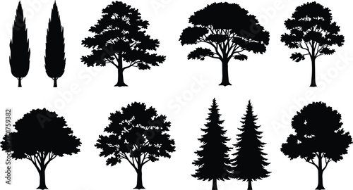 Tree silhouette, conifer tree, broad canopy tree, foliage outline, nature shape, landscape element, park vegetation, arbor graphic, cad drawing flat vector illustration