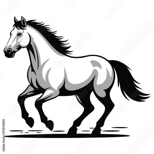horse vector illustration