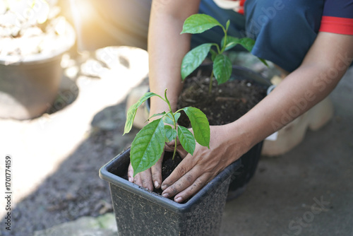 Planting a tree, Two hands of young women were planting the seedlings and tree growing into soil while working in the garden as save the world, earth day, nature, environment and ecology concept.
