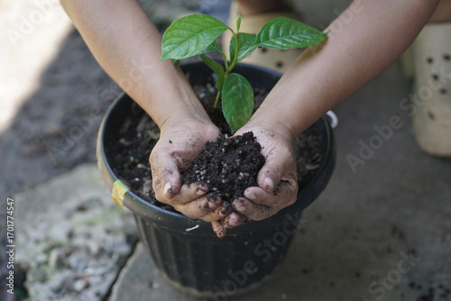 Planting a tree, Two hands of young women were planting the seedlings and tree growing into soil while working in the garden as save the world, earth day, nature, environment and ecology concept.
