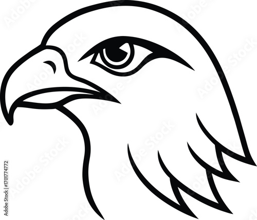 eagle head vector illustration