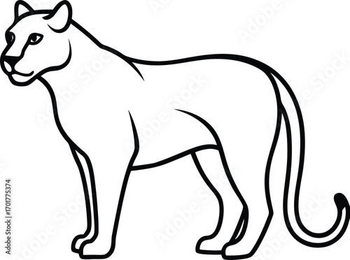 black cat vector illustration