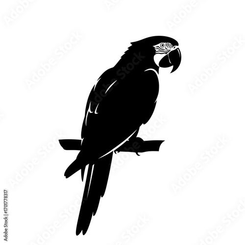 Vector art of black silhouette of a macaw parrot perched on a branch