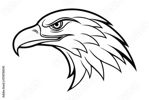 eagle head vector