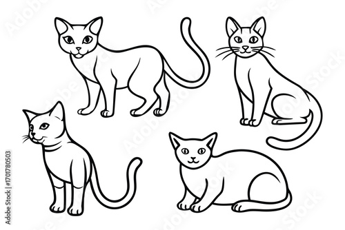 set of cats