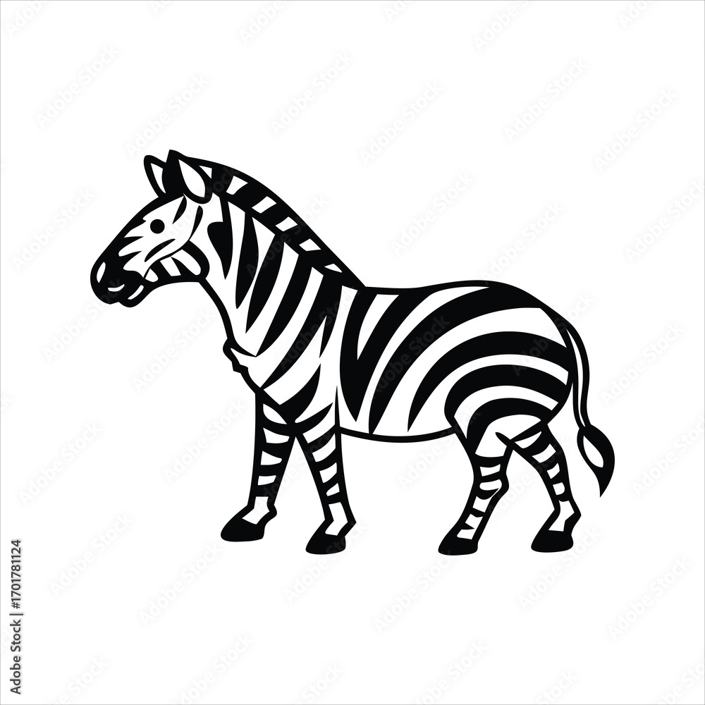 Obraz premium zebra isolated on white