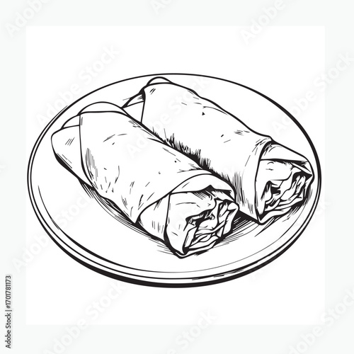vector illustration of spring rolls on a plate