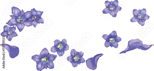 set of flowers