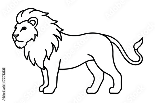 lion isolated on white