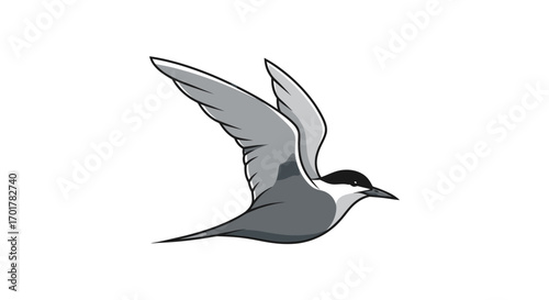 Stylized illustration of a seabird in graceful flight.