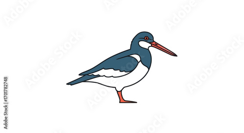 Illustration of a bird with a long beak.