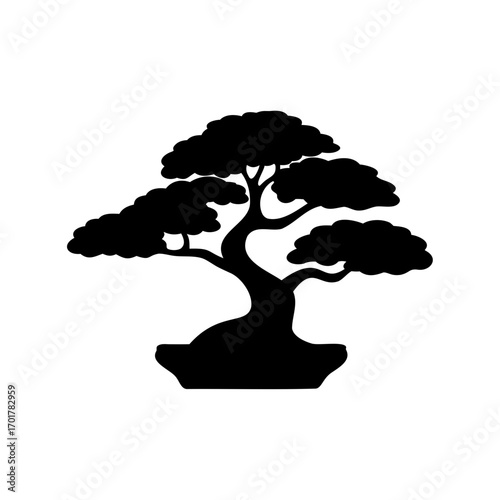 Silhouette of a meticulously styled bonsai tree in a simple ceramic pot