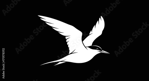 Elegant White Tern in Flight: A Study in Grace and Simplicity.