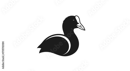 Stylized black silhouette of a coot bird with white forehead marking.