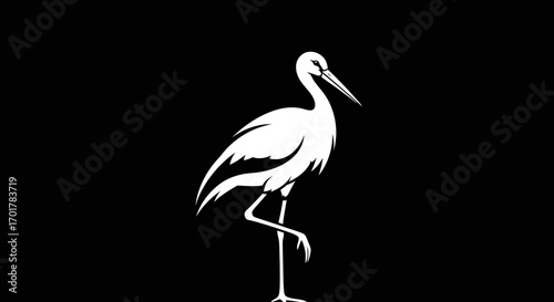 Elegant White Stork Silhouette on Black Background.