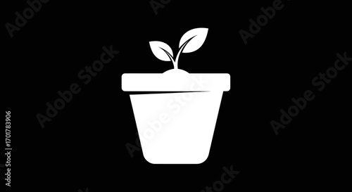 White potted plant with two leaves.
