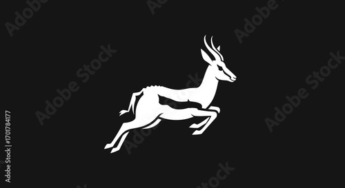 Elegant White Springbok Leaping Against a Dark Backdrop.