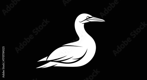 Elegant white bird silhouette against a stark black background minimalist design.