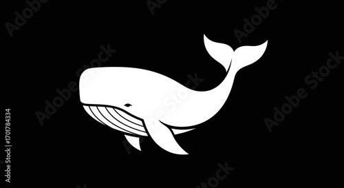 White whale illustration simple design.
