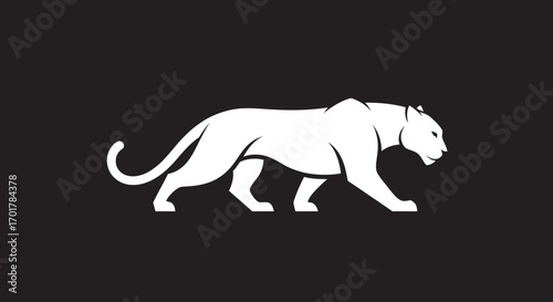 Majestic white panther silhouette walking with powerful grace.