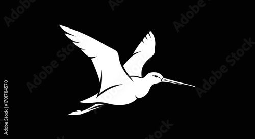 White bird in flight graceful wings elegant posture.