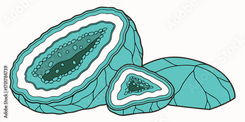 Stunning teal geode slices reveal mesmerizing crystalline inner structures and organic layered patterns, perfect for natural science or abstract design projects