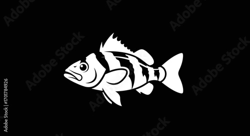 Monochrome graphic illustration of a striped perch fish.
