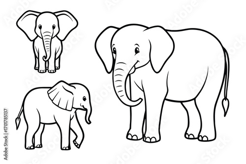 set of elephants