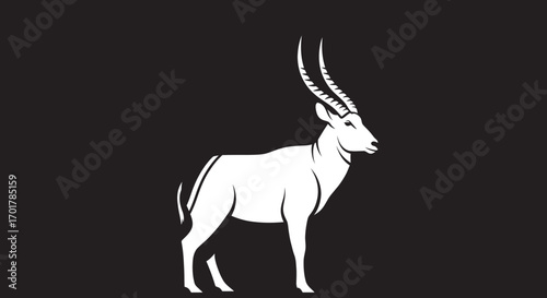 Majestic White Antelope Profile Elegant Wildlife.