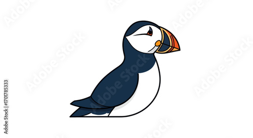 Adorable Puffin Bird Illustration.