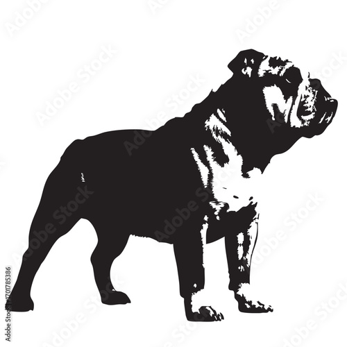 A bold bulldog silhouette stands strong, , showcasing its muscular build and distinctive wrinkles, a symbol of determination and loyalty in vector form