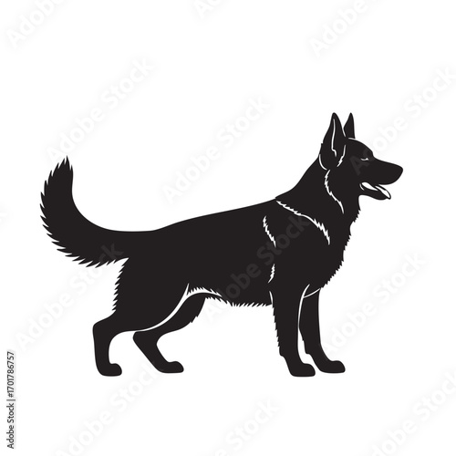 A majestic german shepherd stands tall, its sleek silhouette showcasing its strength and intelligence, the dogs alert posture and focused gaze convey loyalty and unwavering devotion