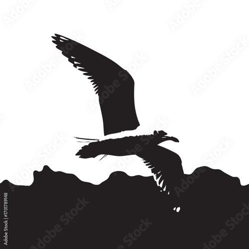 A seagull soars above the rugged coastline, its silhouette a stark contrast against the bright sky, the birds wings are spread wide, capturing the essence of freedom and the untamed beauty of the sea