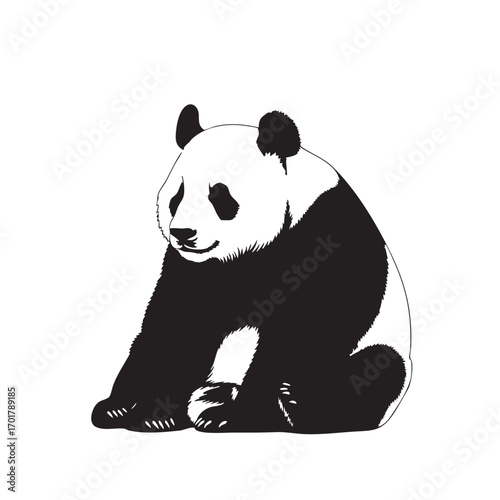 A charming panda bear sits peacefully, its black and white fur contrasting against the, a symbol of conservation and the beauty of wildlife