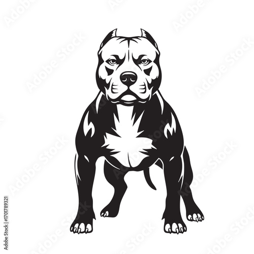Powerful pitbull standing tall, a symbol of loyalty and strength, its muscular build and determined expression evoke a sense of confidence and resilience