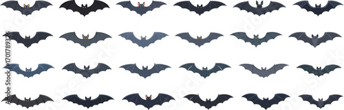 Halloween Set of bat silhouettes: flying, icon, set, collection, fear, spooky, vampire, horror, vector, mystery, silhouette, night, bird, black, darkness, flight