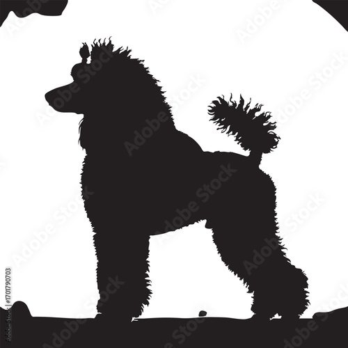 Elegant poodle silhouette standing gracefully, , showcasing its distinctive curly coat and refined posture, embodying sophistication and charm in a timeless design