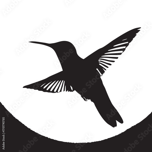 A hummingbird in silhouette, showcasing its delicate wings and long beak, creating a striking contrast against the white backdrop, embodying grace and agility