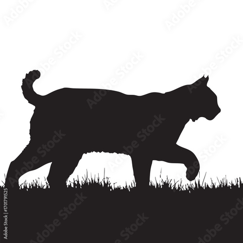 A captivating silhouette of a bobcat prowling through the grass, , capturing the essence of the wild and the beauty of nature in a minimalist style