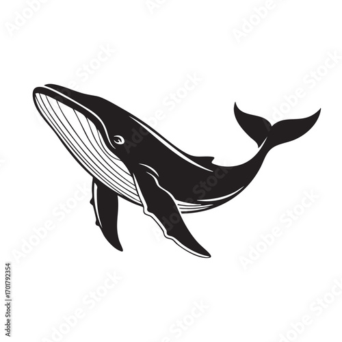 A captivating monochrome illustration of a majestic whale gracefully swimming in the ocean, , showcasing its immense size and powerful presence in nature