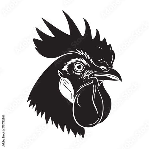 A striking black and white illustration of a roosters head, , showcasing intricate details of its comb, beak, and feathers in a minimalist yet captivating style