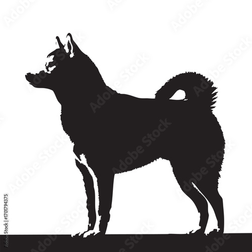 Silhouette of a majestic norwegian elkhound standing tall, , showcasing its distinctive curled tail and alert expression in a striking monochrome design