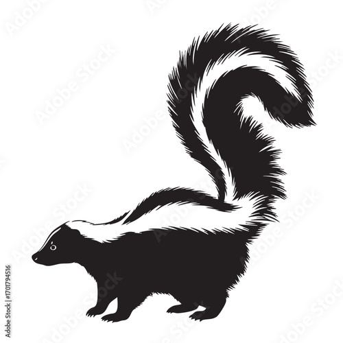 A skunk, showcasing its distinctive black and white markings, bushy tail, and small eyes, creating a striking contrast against the clean backdrop, vector illustration