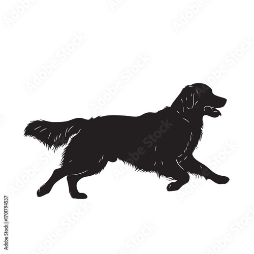 A golden retriever, captured in motion with its flowing fur, wagging tail, and friendly expression, showcasing the breeds playful nature, vector art