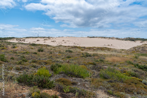 Hügellandschaft in der Wanderdüne Duna de Cresmina, Portugal